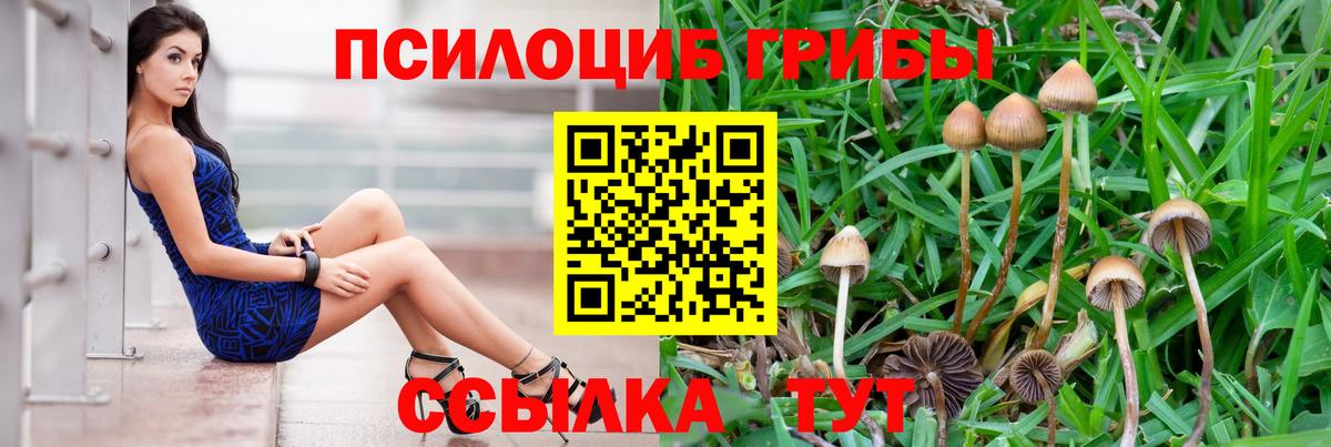 Галлюциногенные грибы Magic Shrooms  Псилоцибиновые грибы GOLDEN TEACHER  Вход с VPN  Унеча 